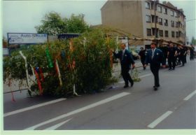 als das Maigeloog um 2000 seine Wehwehchen bekam, wurde die Feuerwehr Ensen-Westhoven um Mithilfe des 22 m langen Maibaumes durch Poll gebeten (1).jpg